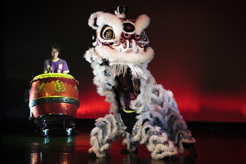 Chine: une danse des lions hypnotisante pour fêter le Nouvel An - Vidéo  Dailymotion