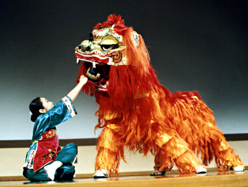 MEGCI Danse du Lion Chinois 3 m/5 m Danse du Dragon Adulte Danse du Dragon  Ruban de Performance Sports de Plein air activités de Groupe Nouvel an